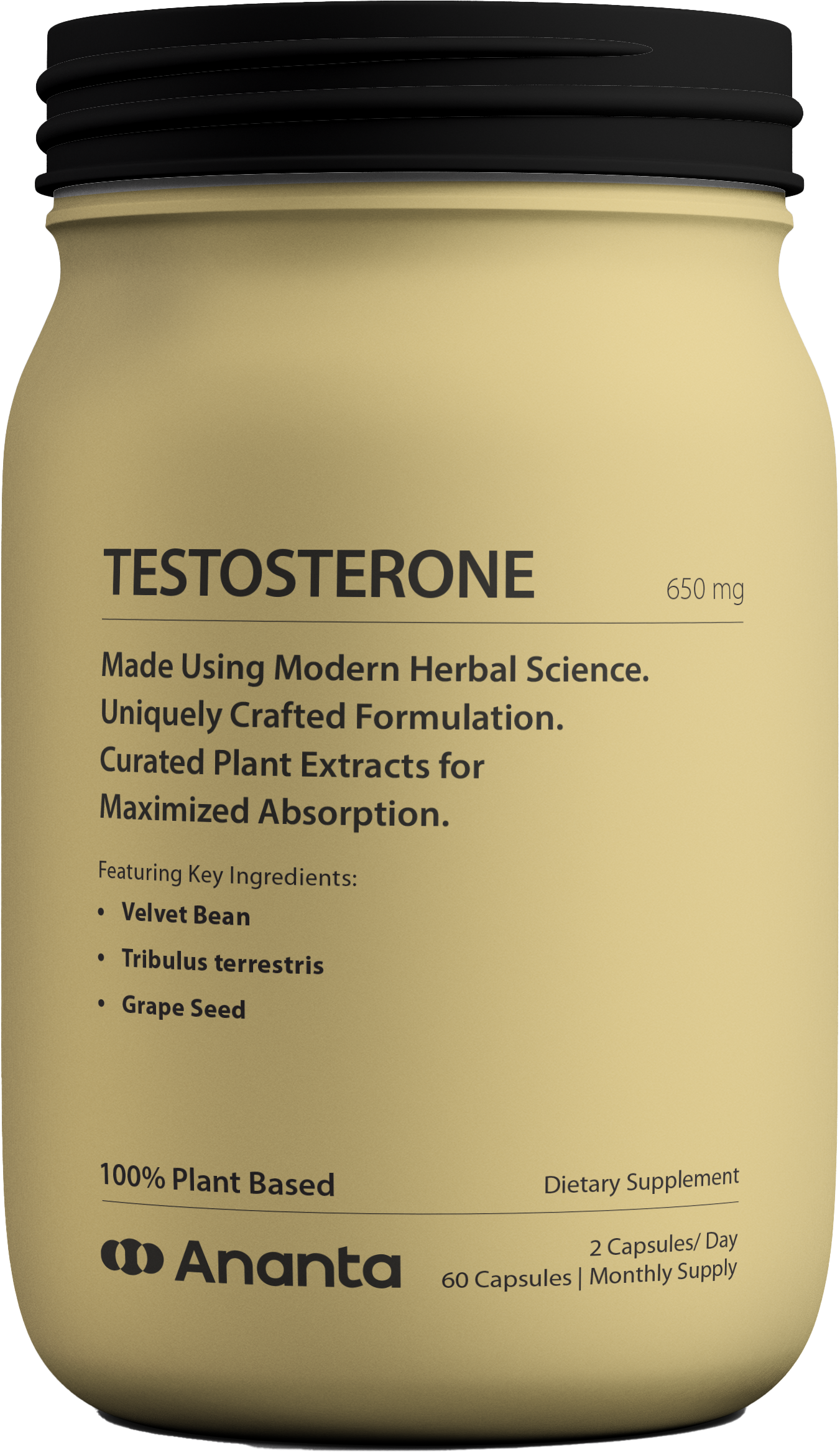 TESTOSTERONE